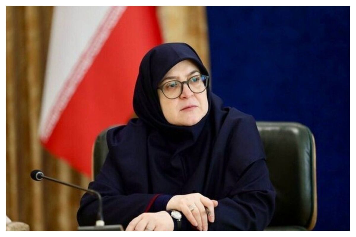 مهاجرانی: دولت، با درک واقعیت‌های اقتصادی، نمی‌تواند چشم‌انتظار توافق بماند