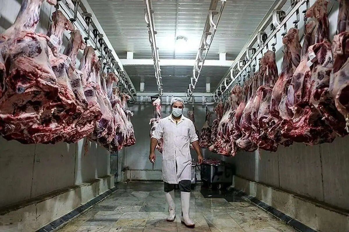 احتمال افزایش مجدد قیمت گوشت قرمز با حذف ارز ترجیحی!