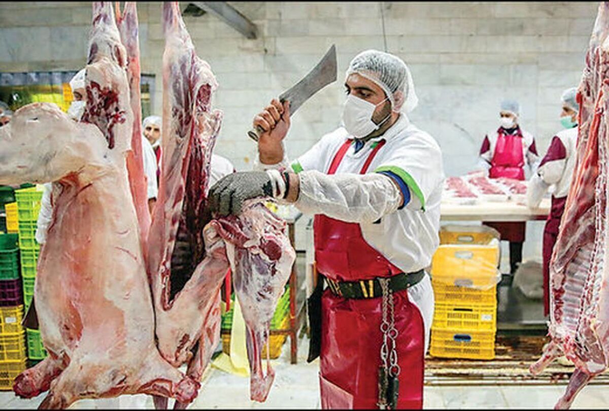 افزایش عرضه گوشت تنظیم بازار