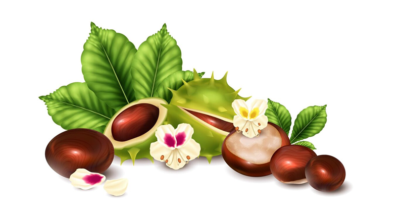 خواص شگفتانگیز روغن کرچک برای پوست و مو