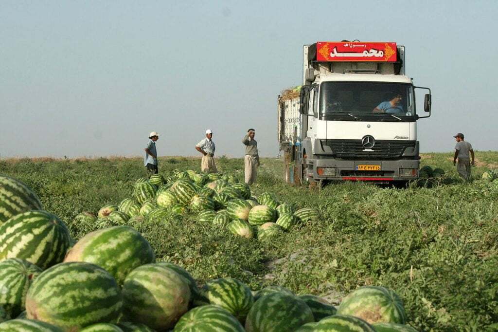 قیمت هندوانه