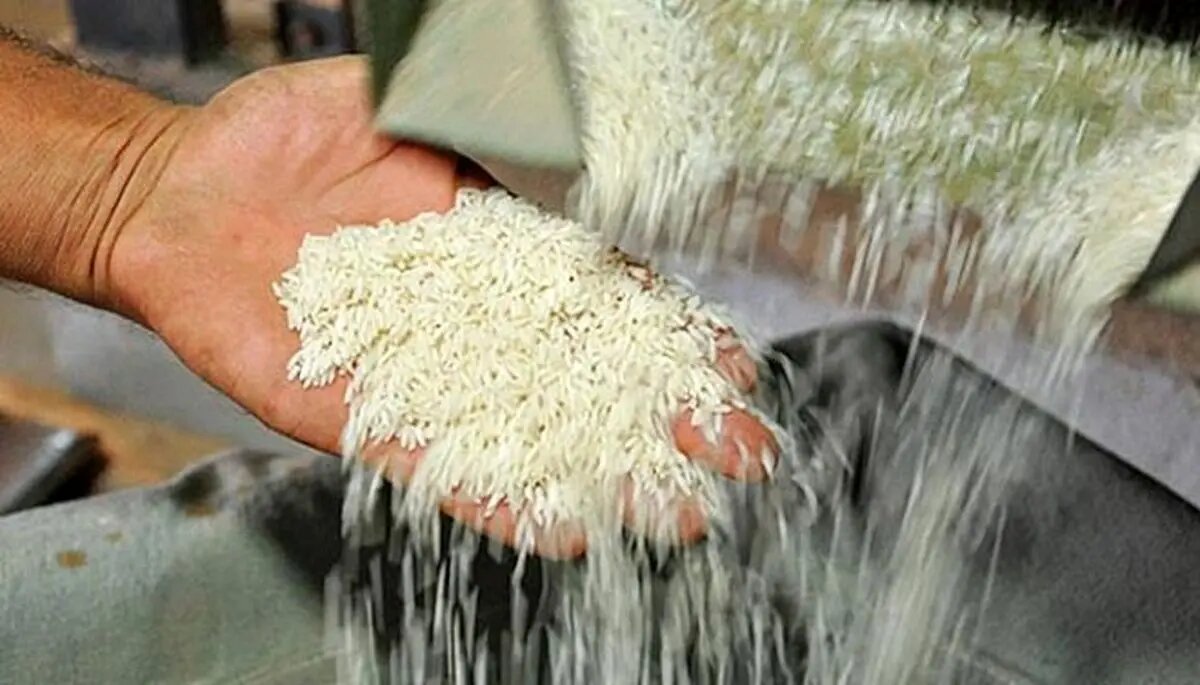 برنج هندی و پاکستانی کیلویی چند؟/ برنج پاکستانی ۲ برابر نرخ مصوب در بازار عرضه می شود