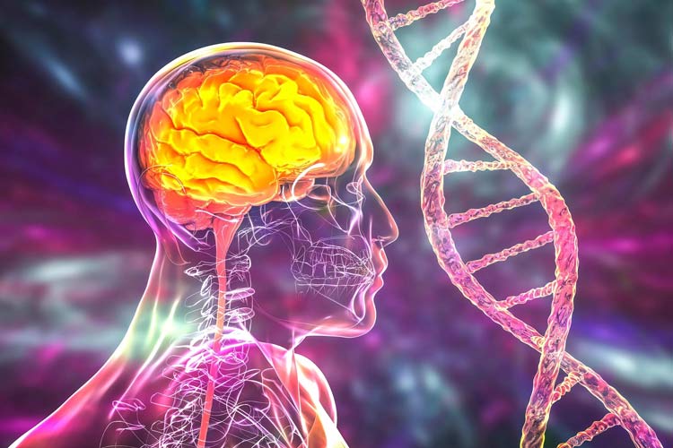 کشف بیش از ۱۵۰ سوئیچ ژنتیکی مرتبط با آلزایمر در سلول‌های مغز