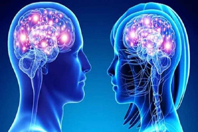 ناحیه‌ای یکسان از مغز که در زنان و مردان «متفاوت» کار می‌کند!