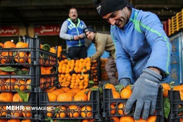 ساعت کار میادین میوه و تره‌بار تهران تغییر کرد
