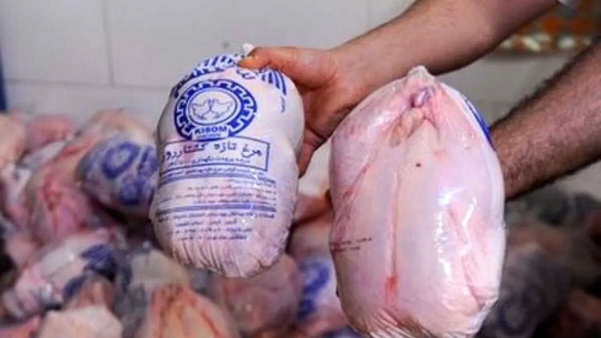مرغ ارزان وارد بازار شد