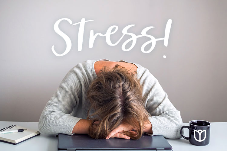 خواب بهتر از ورزش؛ راز مقابله با استرس کاری