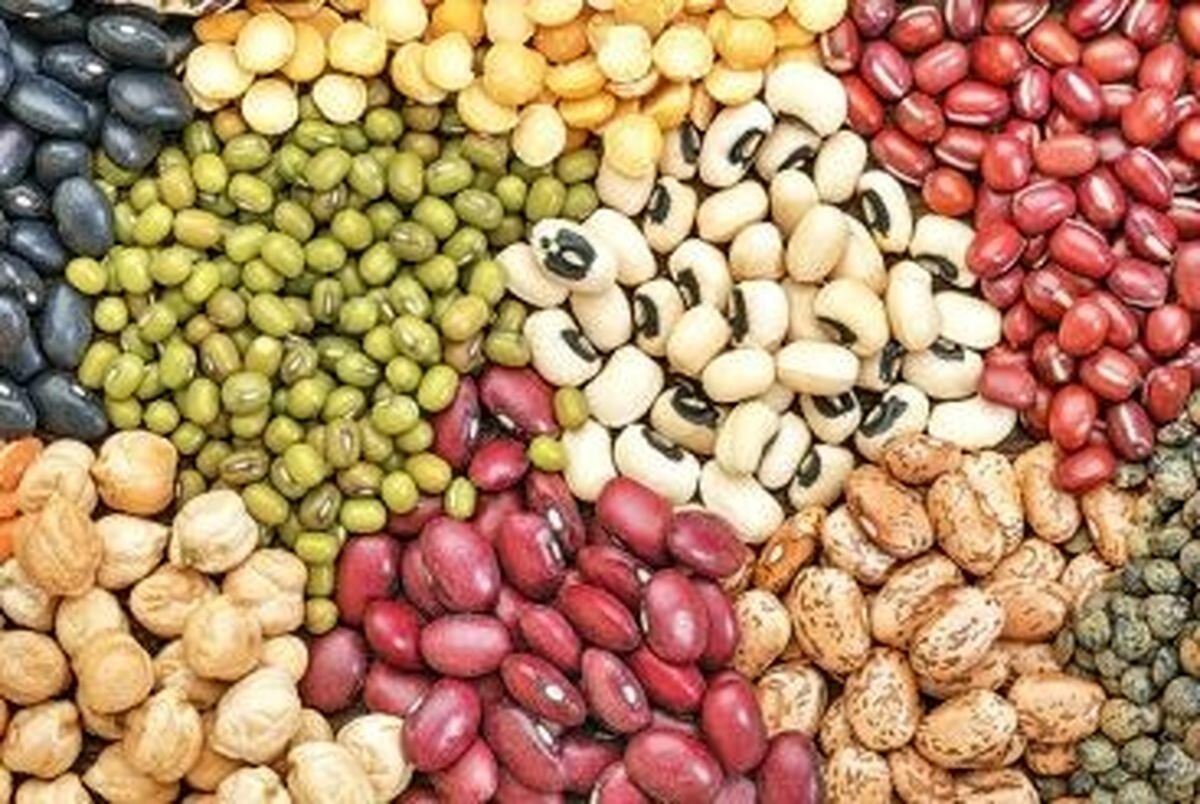جهش قیمت لوبیا به دانه‌ای ۴۰۰ تومان/ لپه‌چی: قیمت حبوبات در بازار متناسب با تورم است