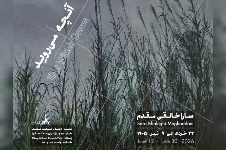 «آنچه می‌روید» به باگالری رسید