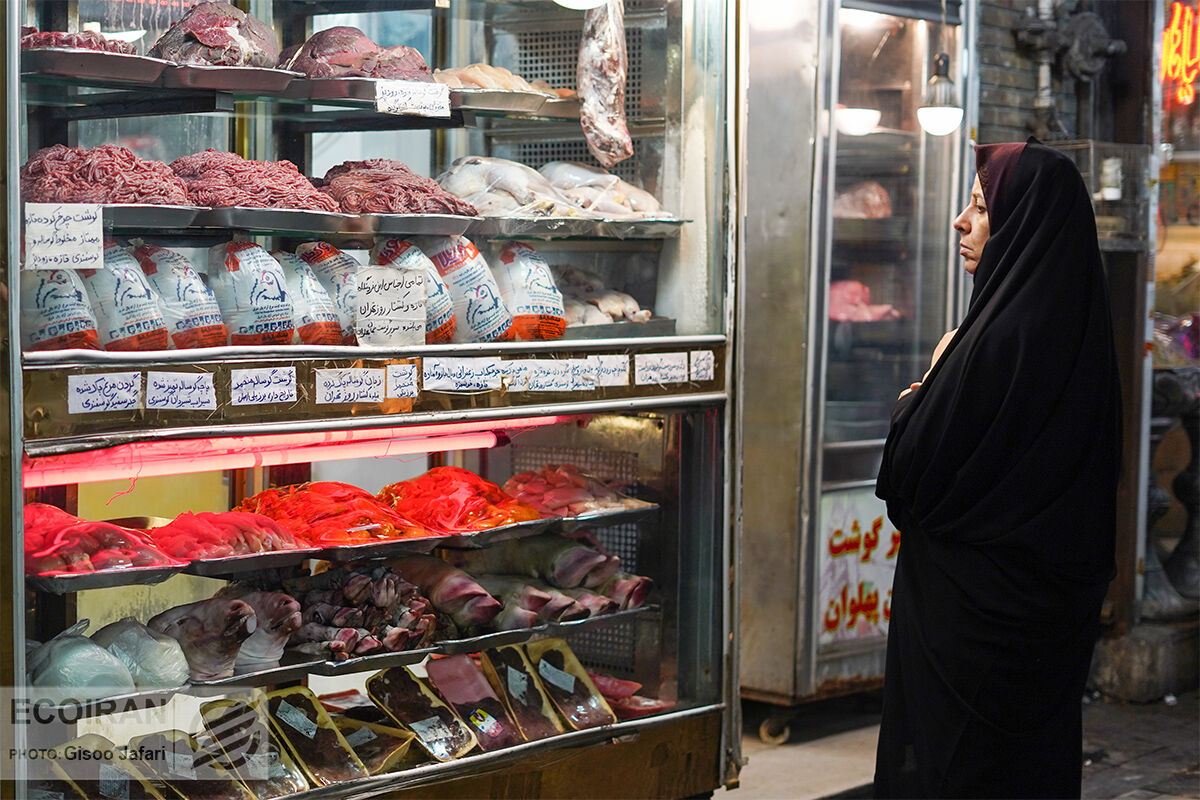 افزایش قیمت مرغ