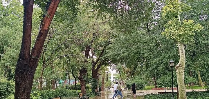 هواشناسی ۱۴۰۵/۰۷/۱۶؛ هشدار بارش باران در ۱۶ استان