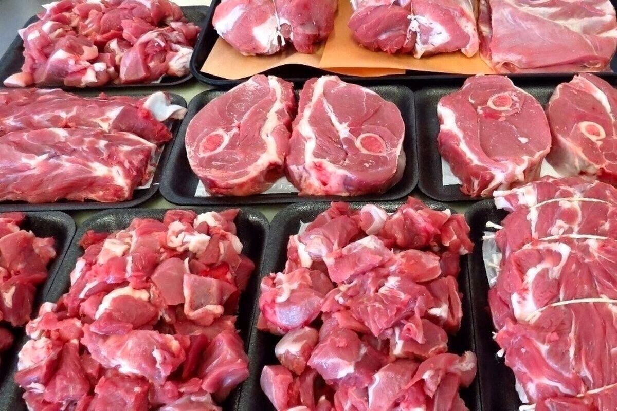 مدیرعامل اتحادیه دام سبک: قیمت منطقی هر کیلوگرم لاشه گوسفندی یک میلیون و ۶۰۰ هزار تومان است
