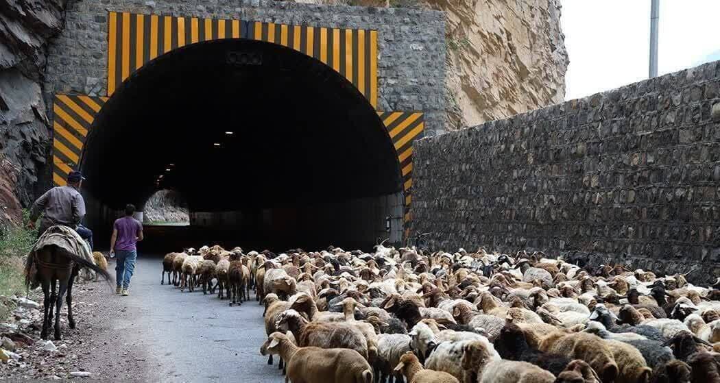 هشدار به مسافران؛ محور کندوان ۲ روز مسدود میشود