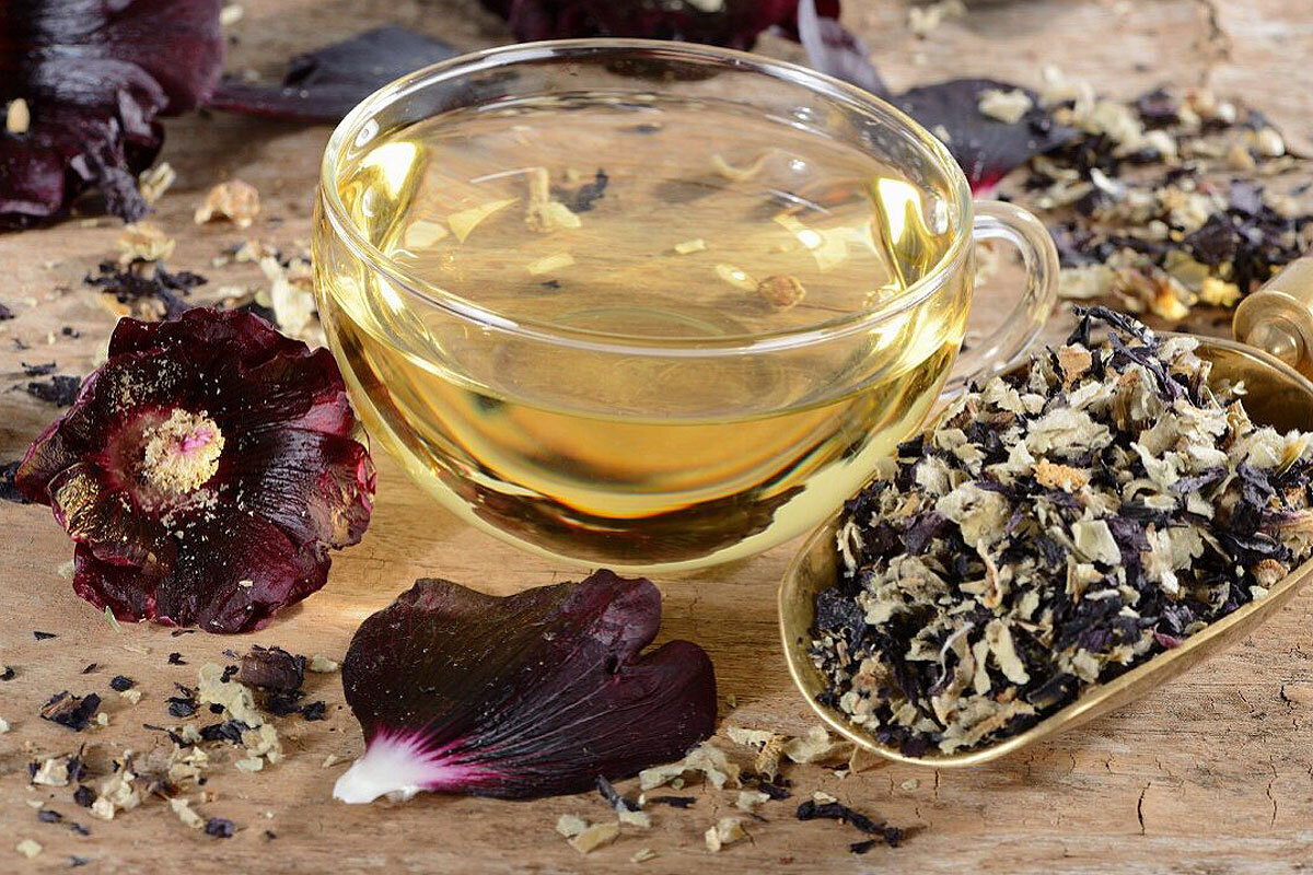 ختمی دوباره مورد توجه پژوهشگران قرار گرفت / ترکیب ریشه ختمی و عسل برای تسکین گلو / راه‌های مصرف این گیاه دارویی