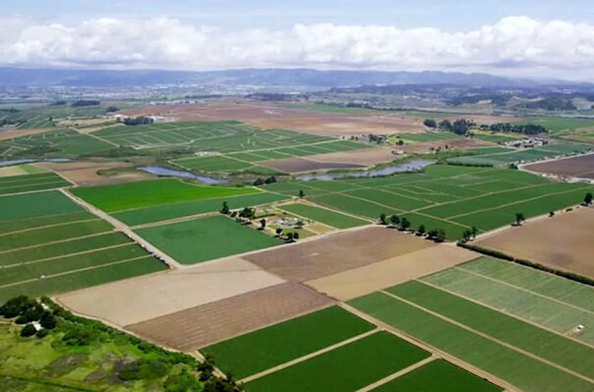 زمین کشاورزی