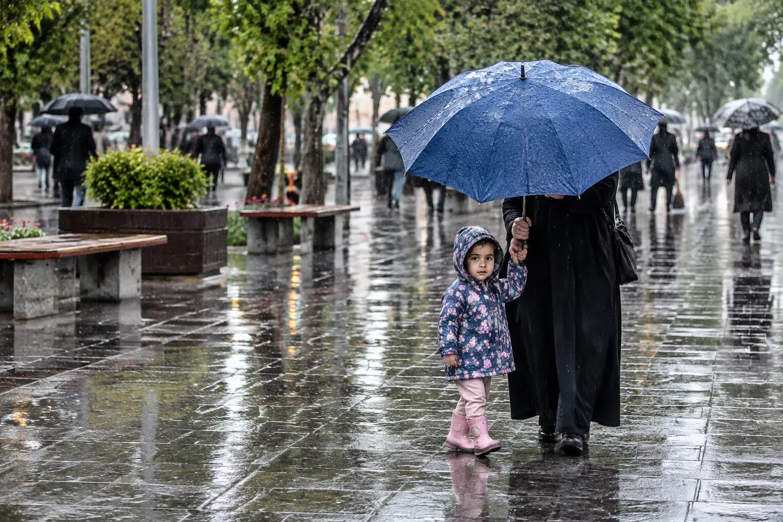 هواشناسی