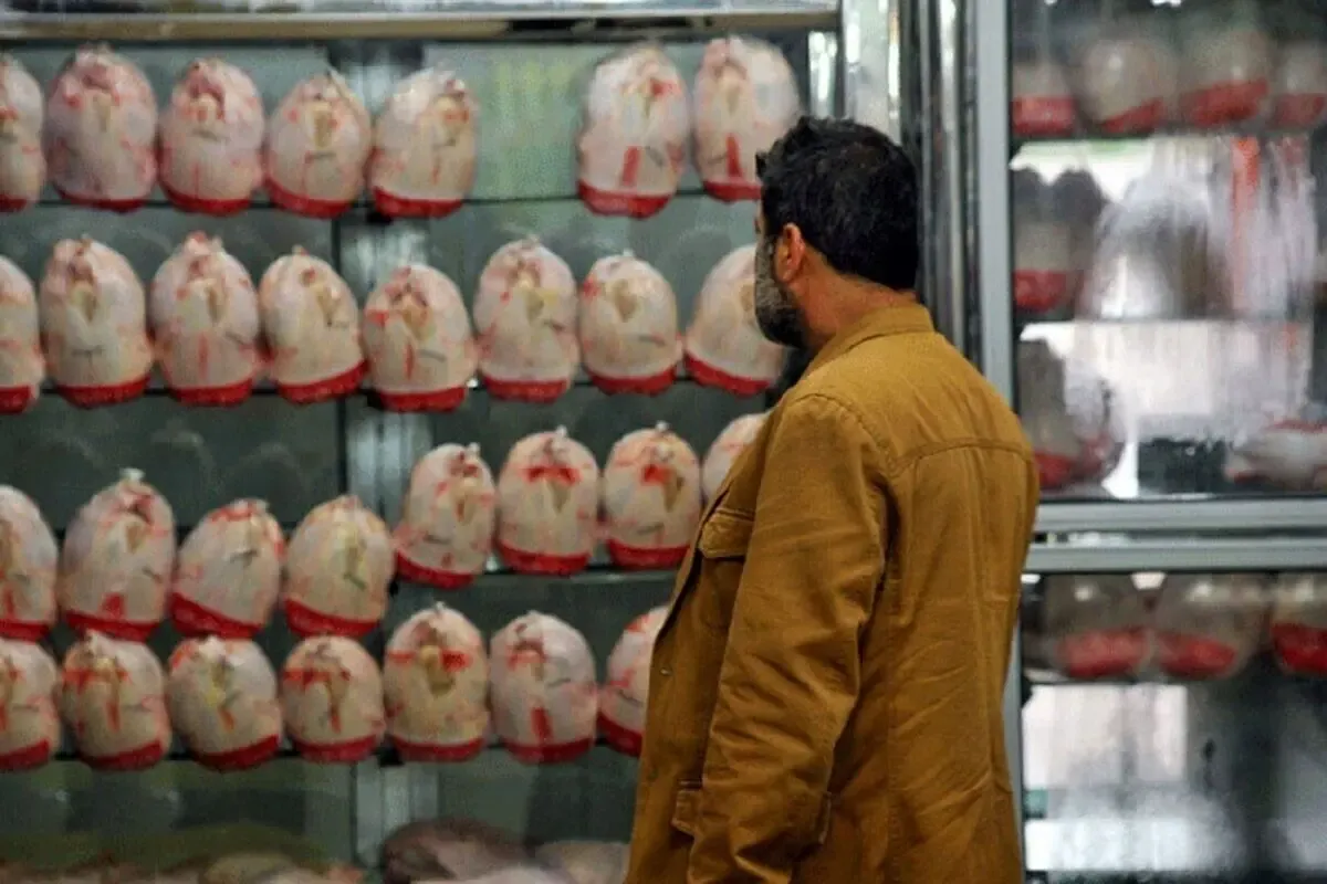 قیمت جدید مرغ