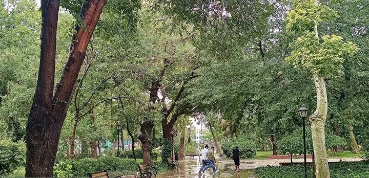 بارانی