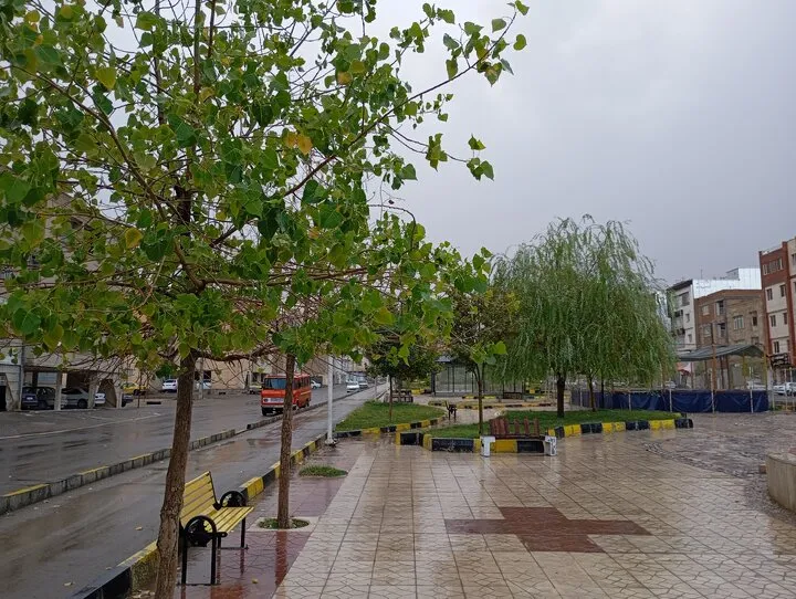 باران